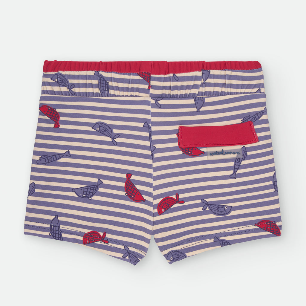 Boxer - KALIMERA | 542-04