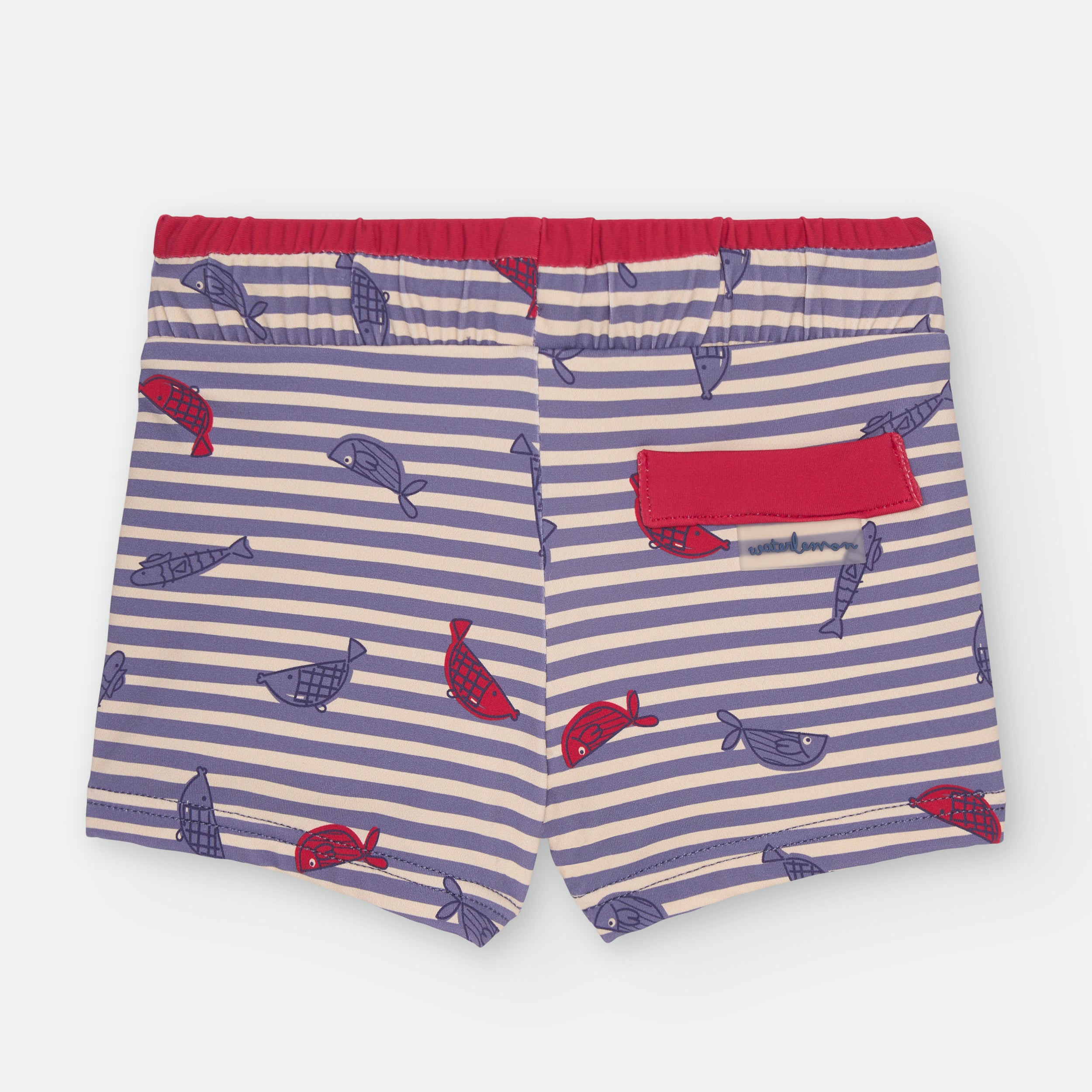 Boxer - KALIMERA | 542-04